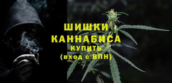 ГАЛЛЮЦИНОГЕННЫЕ ГРИБЫ Алзамай